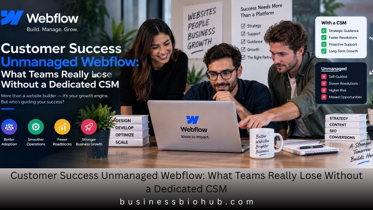 Customer Success Unmanaged Webflow
