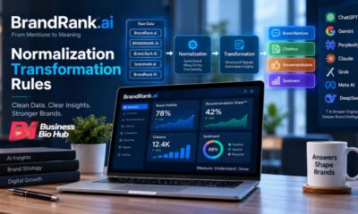 brandrank.ai normalization transformation rules